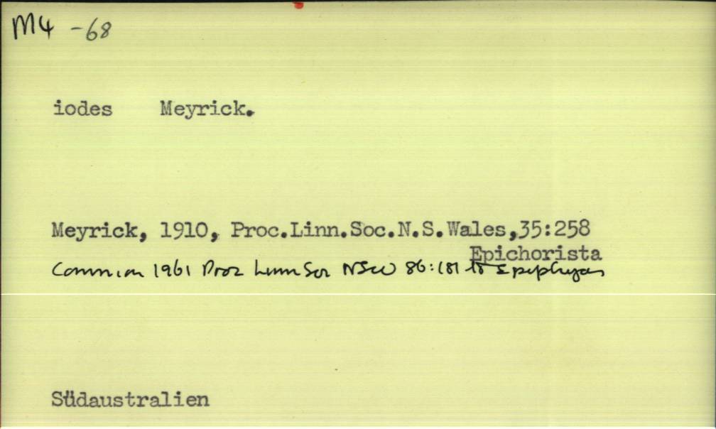 front of card